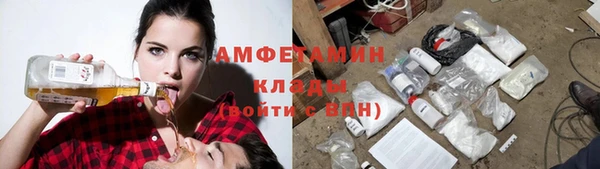 амф Апатиты