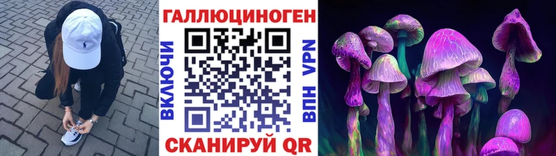 Псилоцибиновые грибы Cubensis  наркотики  Белореченск 