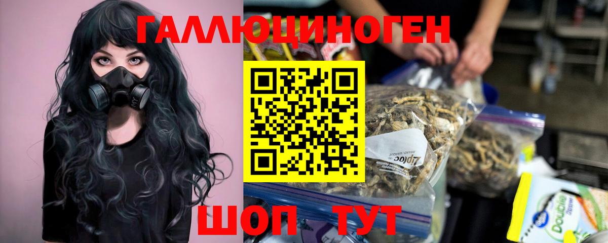 Белореченск  Псилоцибиновые грибы Psilocybe  Вход с VPN 